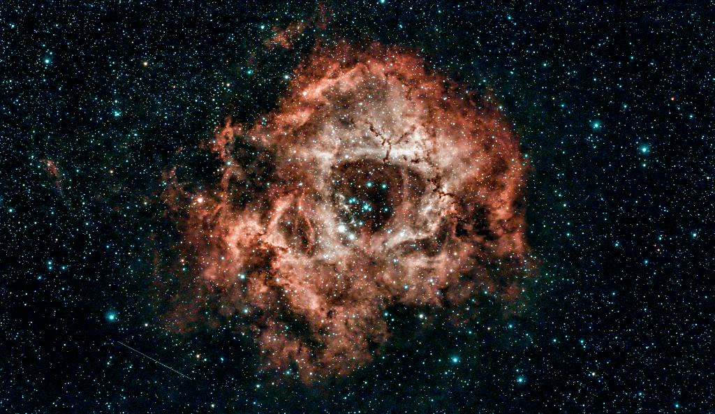 Rosette Nebula Caldwell 49 captured from Monaco with DWARF 3 EQ mode Duo-Band filter 60 second subs gain 90 141 frames 2 hours 21 minutes first aggressive processing version