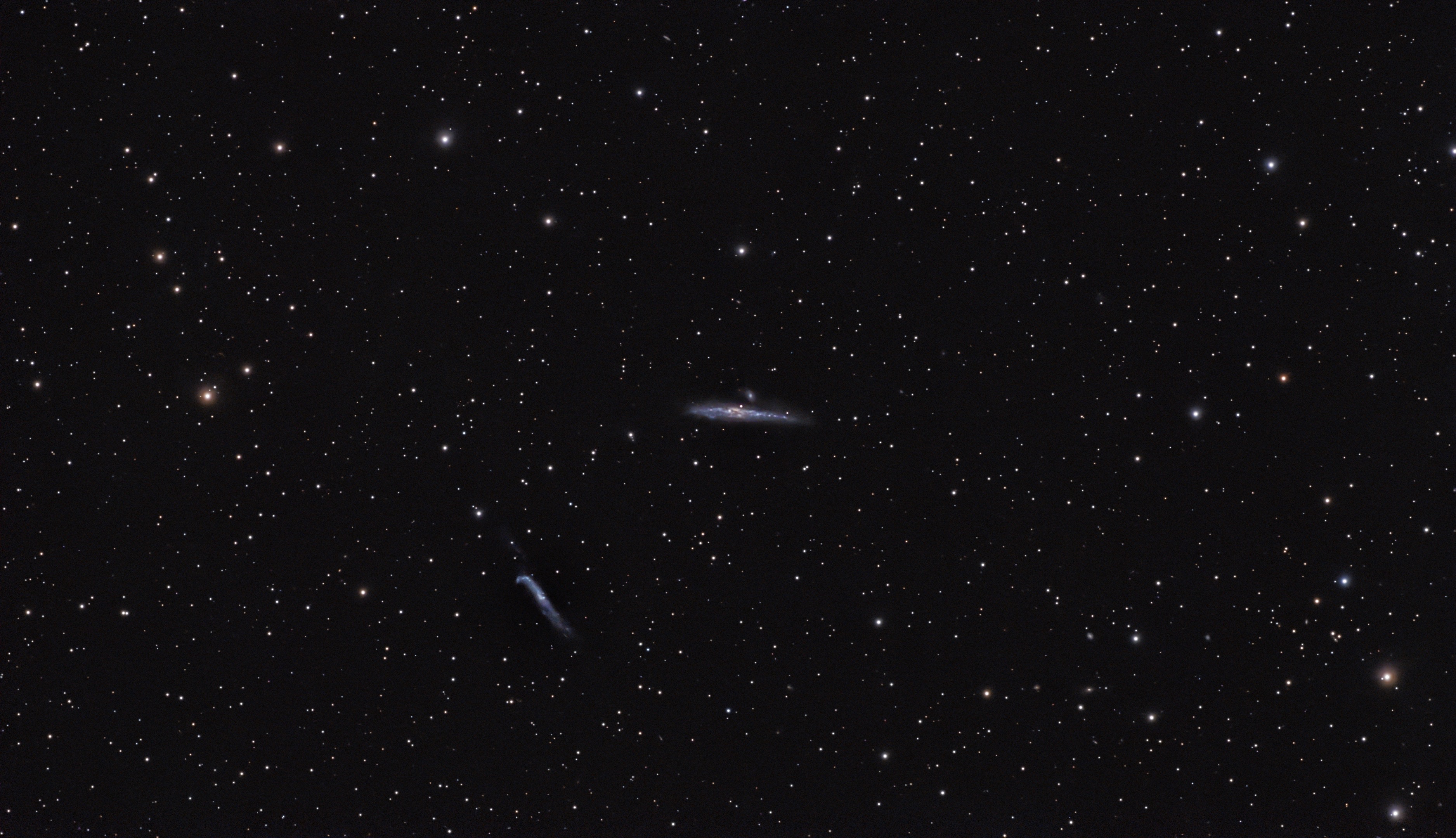 Whale Galaxy (NGC 4631 / Caldwell 32) with the Pup and the Hockey Stick